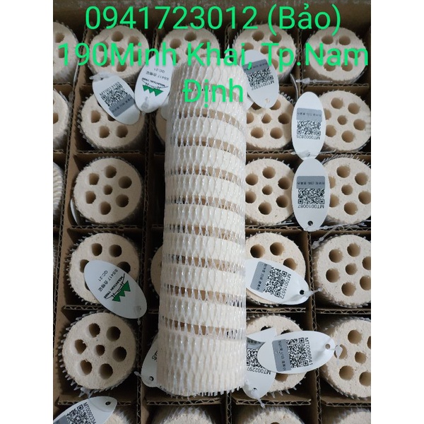 1 thanh Sứ củ sen sứ xoắn Bacteria House thế hệ II Mountain Tree