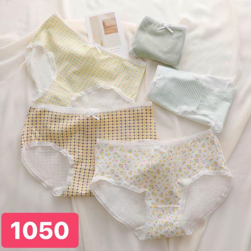 Set 5 Quần Lót Cotton Kháng Khuẩn Chống Viêm Thoáng Khi Họa Tiết In Hình Dễ Thương Cho Bạn Nữ