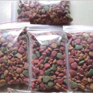 Snack đạm mài răng cho Hamster-Sóc