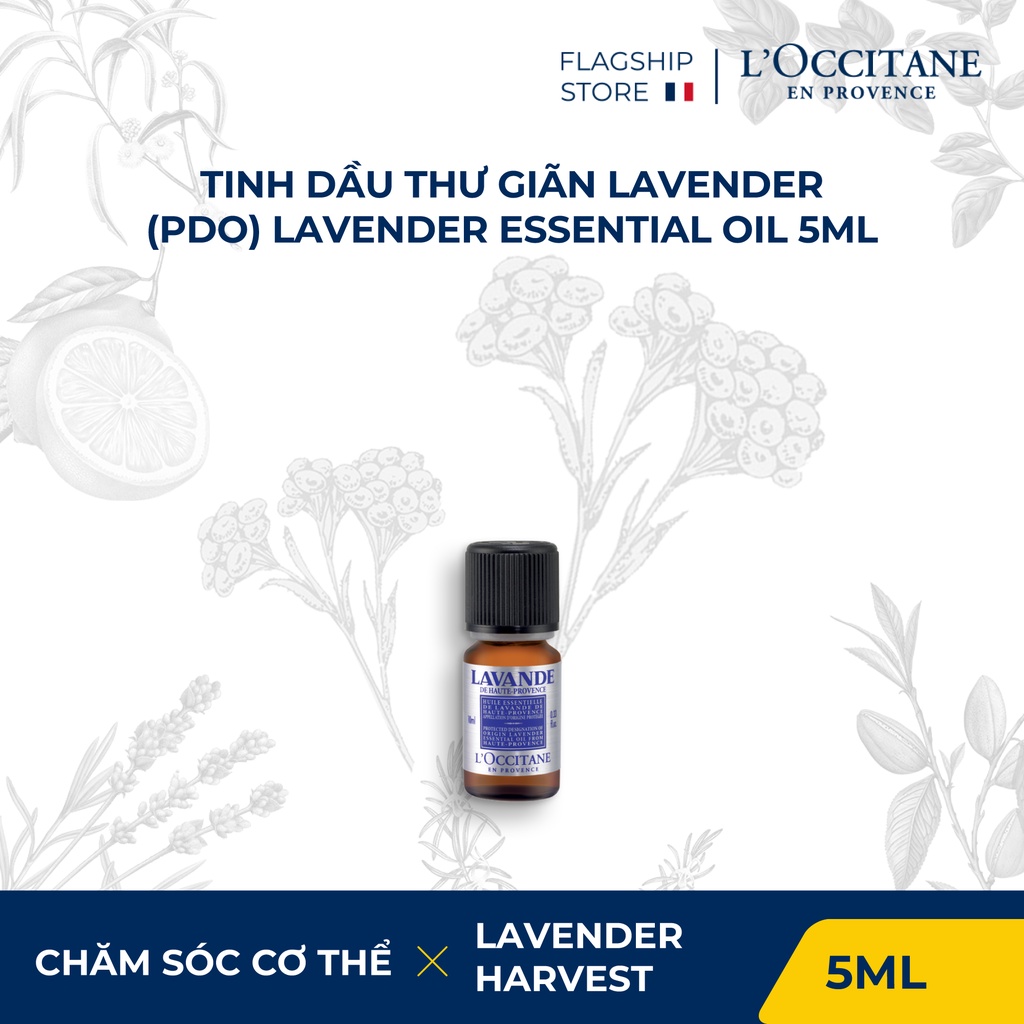 Tinh Dầu L’Occitane Hương Lavender Essential Oil 5ml