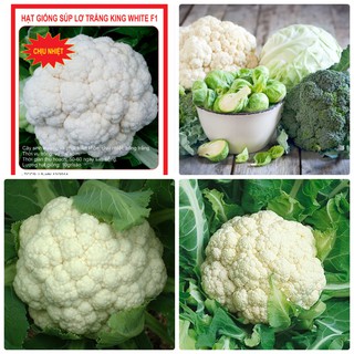 Hạt Giống Súp Lơ Trắng ( Bông Cải Trắng ) - Gói 0,2 Gram - STHG2