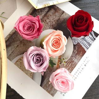 Hoa Hồng Khô Bất Tử Quà Tặng Vật Liệu Handmade (Cỡ 5 - 6cm)