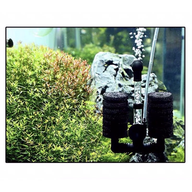 Lọc Sủi Vi Sinh Cho Hồ Cá Tép, Thuỷ Sinh XY-2830 | XY-2831 | XY-2822