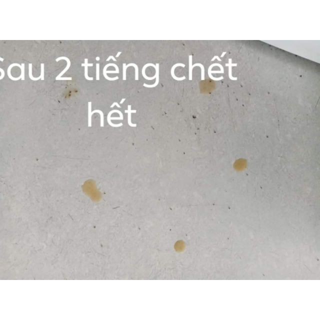 [XẢ LỖ 1 NGÀY] thuốc diệt kiến rán sinh học tận gốc, thuốc bẫy mồi kiến gián hiệu quả giá rẻ