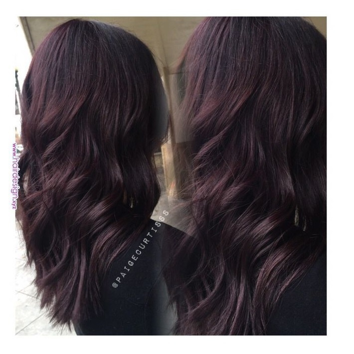 Thuốc Nhuộm Tóc Màu Nâu Tím Kèm Oxidiant Dark Violet Hair