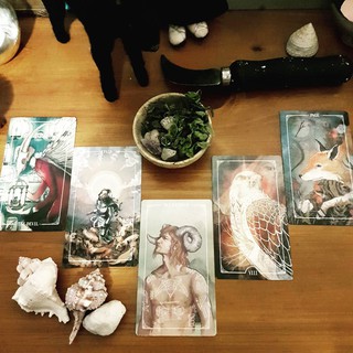 Bộ bài Ostara Tarot - CS168