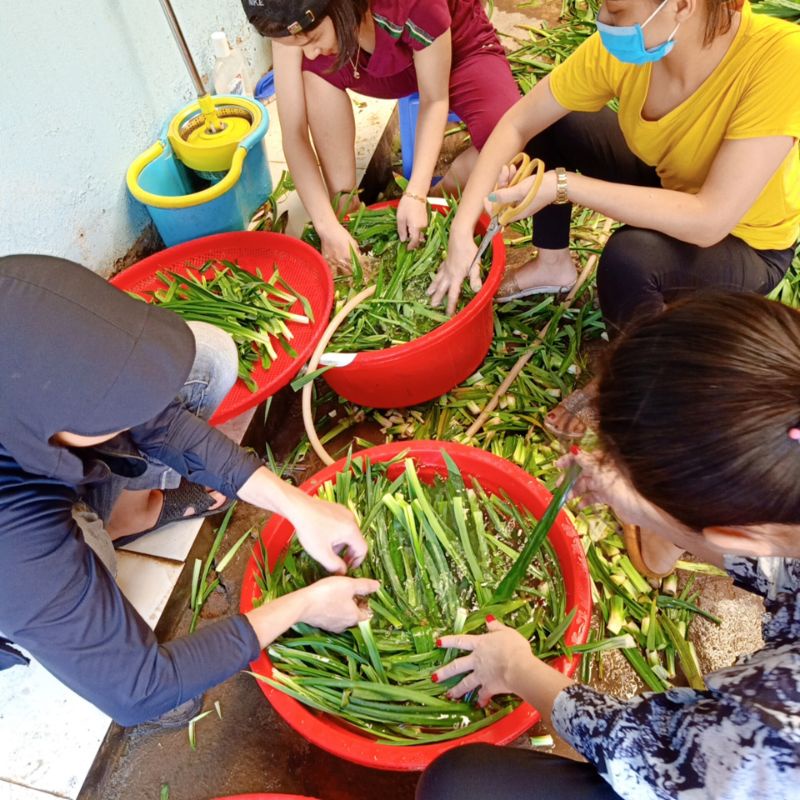 Lá dứa khô, 100G, lá nếp sấy lạnh tự nhiên, loại bỏ cảm giác lo lắng, giảm stress, hiệu quả với tóc........