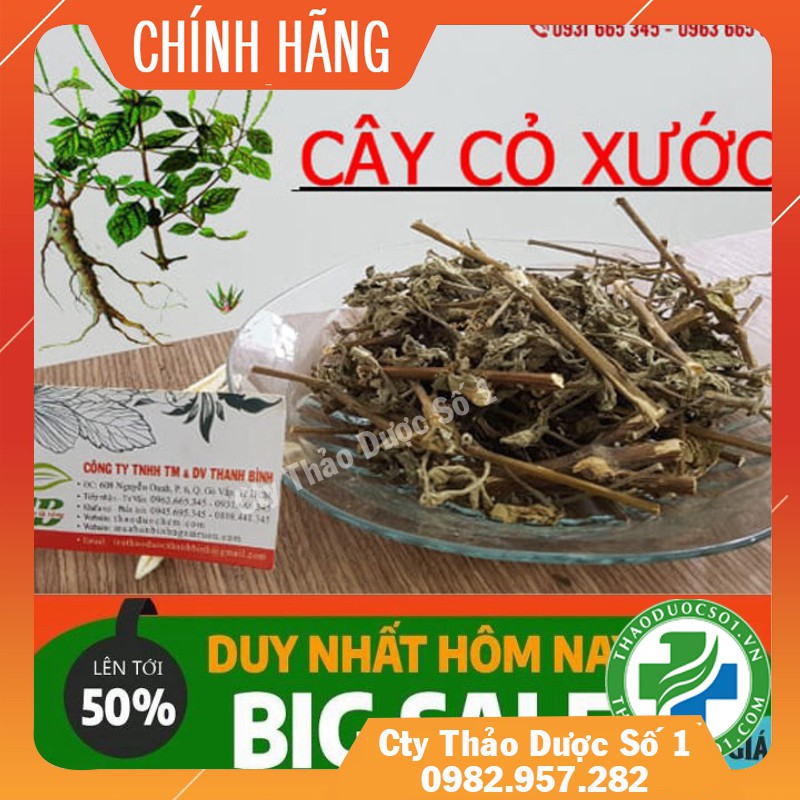 Cây cỏ xước 100gr - Ngưu tất nam (Tươi - khô) TDSO1