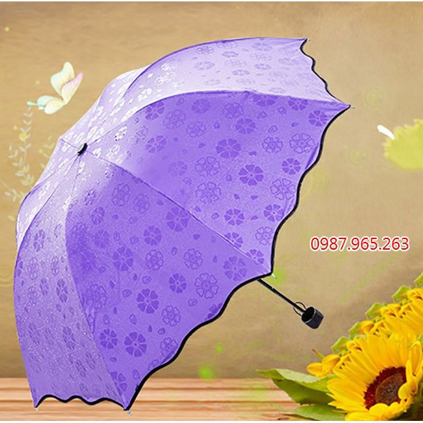 Ô đi mưa nở hoa