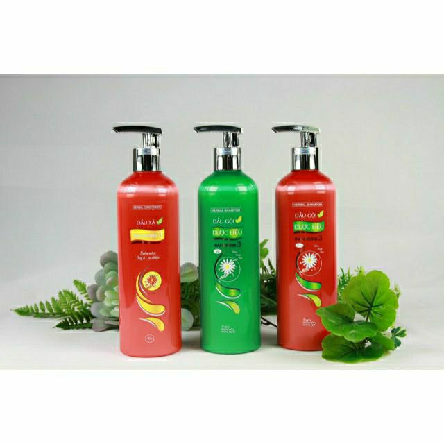 Dầu gội Thái Dương 3 600ml chống gàu chống ngứa [ Freeship ]