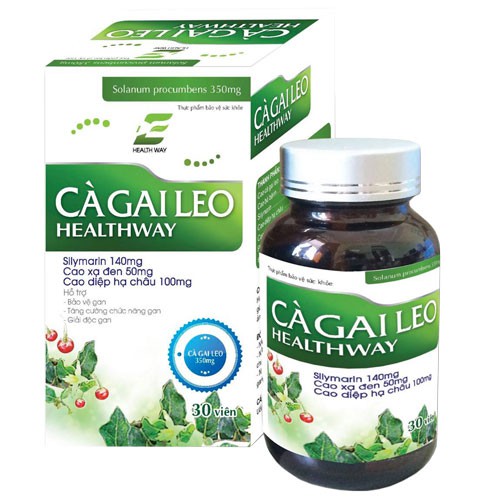 Cà gai leo Healthway hỗ trợ tăng cường chức năng gan