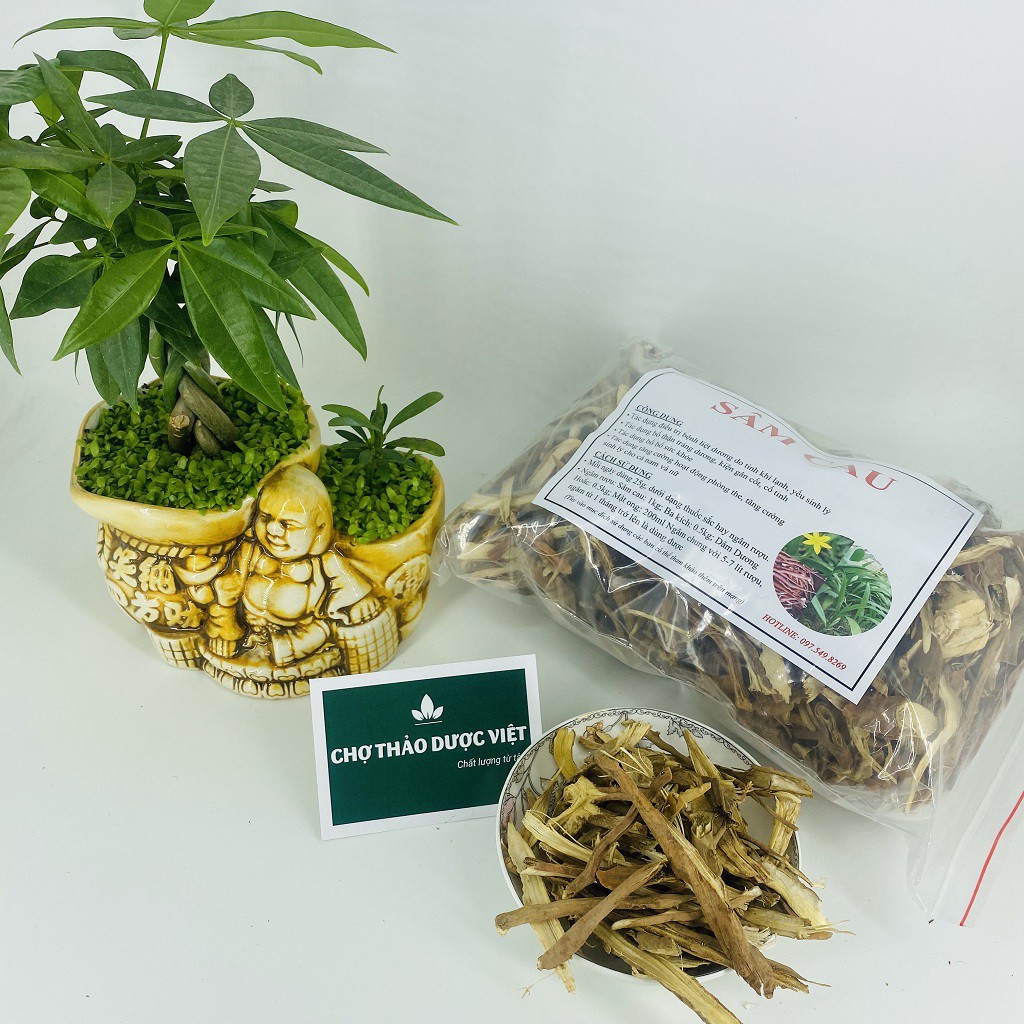 Sâm cau 1kg  - Chợ Thảo Dược Việt