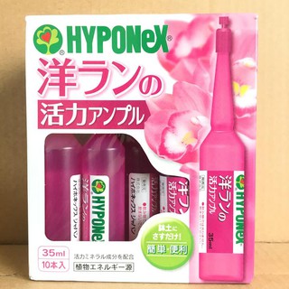Hộp 10 ống phân bón dinh dưỡng Hyponex Ampule For Orchid  dạng ống cắm trực tiếp chuyên dùng cho hoa Phong lan.