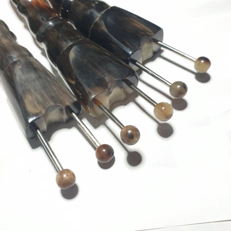 bọ cạp sừng cỡ nhỏ