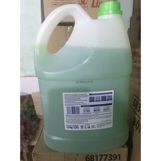lau sàn sunlight 3.8kg hoa hạ