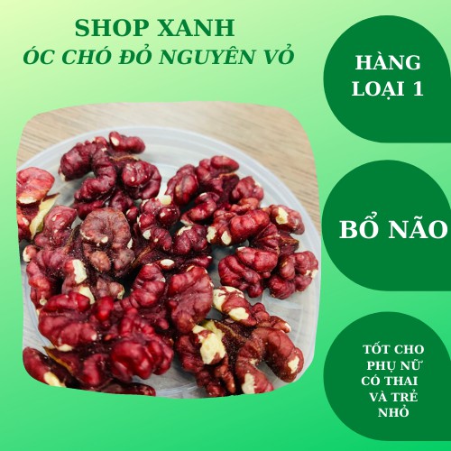 FREESHIP- Hạt óc chó nguyên vỏ giàu dinh dưỡng - Hạt óc chó đỏ bổ sung dinh dưỡng mẹ bầu (500g)