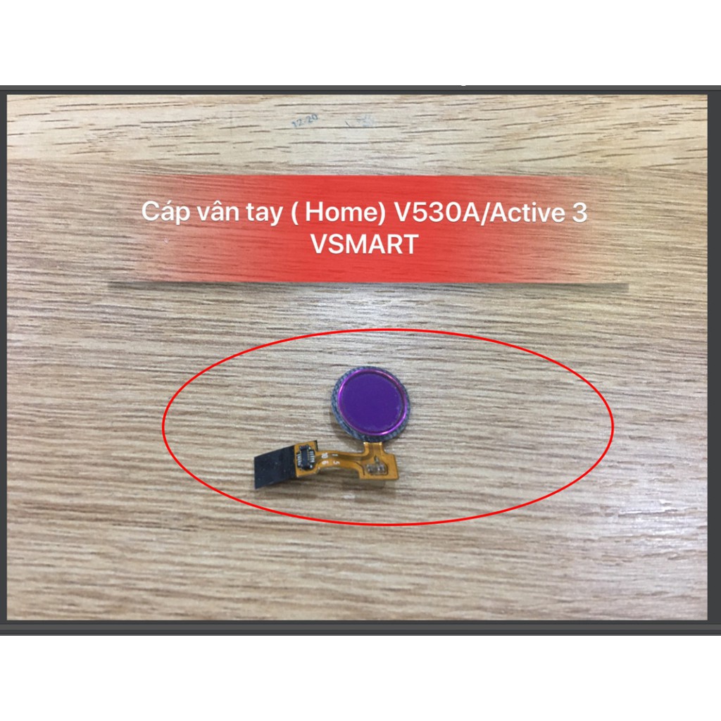 Cáp vân tay ( home) V530A - Active 3 VSMART