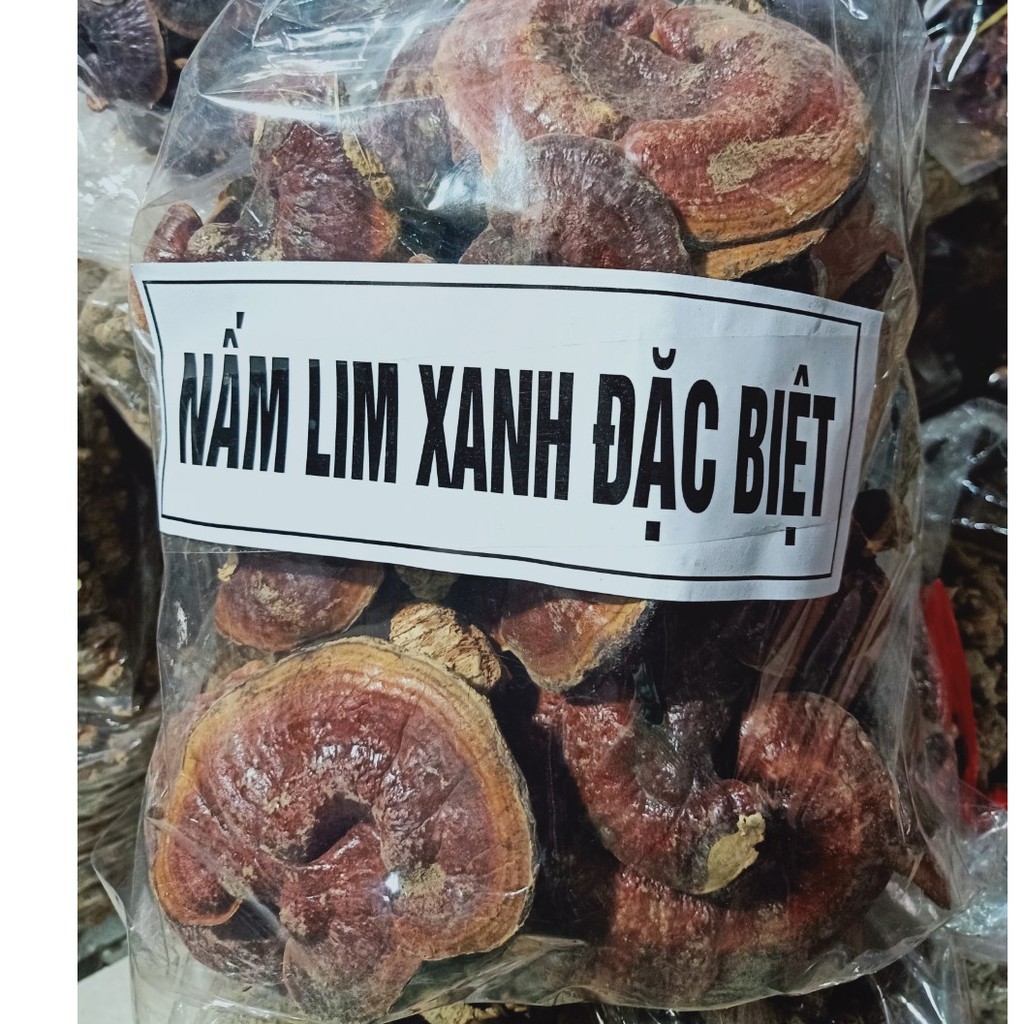 💥 NẤM LIM XANH TRỒNG