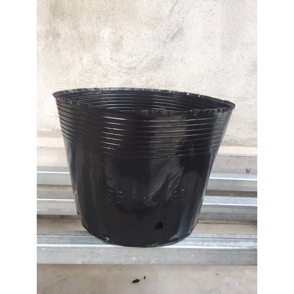 BẦU ƯƠM CÂY 36*30 ( DỊCH TRUYỀN CHO CÂY, KÍCH RỄ , MẦM CÂY XANH LÁ, LƯỚI CHE NẮNG...)