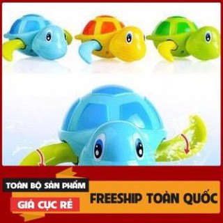 ĐỒ CHƠI CÁ RÙA THẢ BỒN TẮM