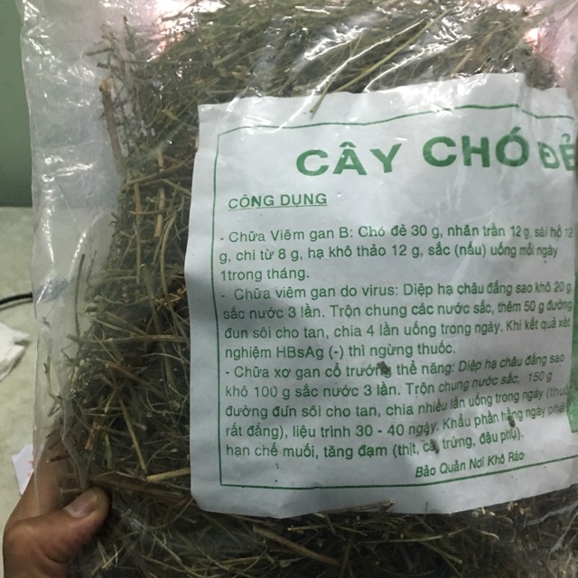 CÂY CHÓ ĐẺ RĂNG CƯA ( DIỆP HẠ CHÂU KHÔ) 1KG