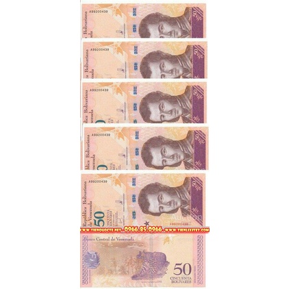 Tờ hình con mèo Venezuela Quý Mão làm Quà tặng lì xì tết 2023 phong thủy