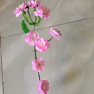 1 Lạng bông đào