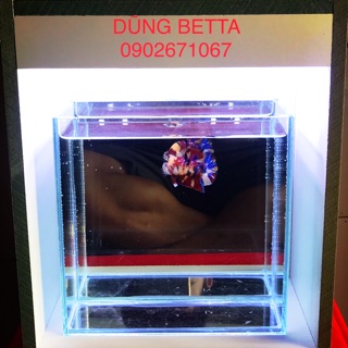 Dụng cụ show cá có Đèn led