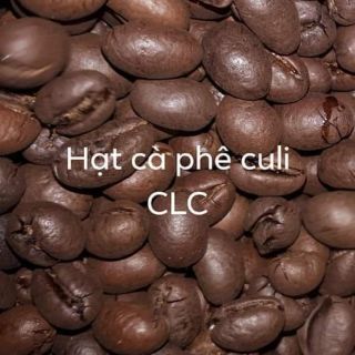 Hạt cà phê Culi mộc nguyên chất đậm đắng say đắm