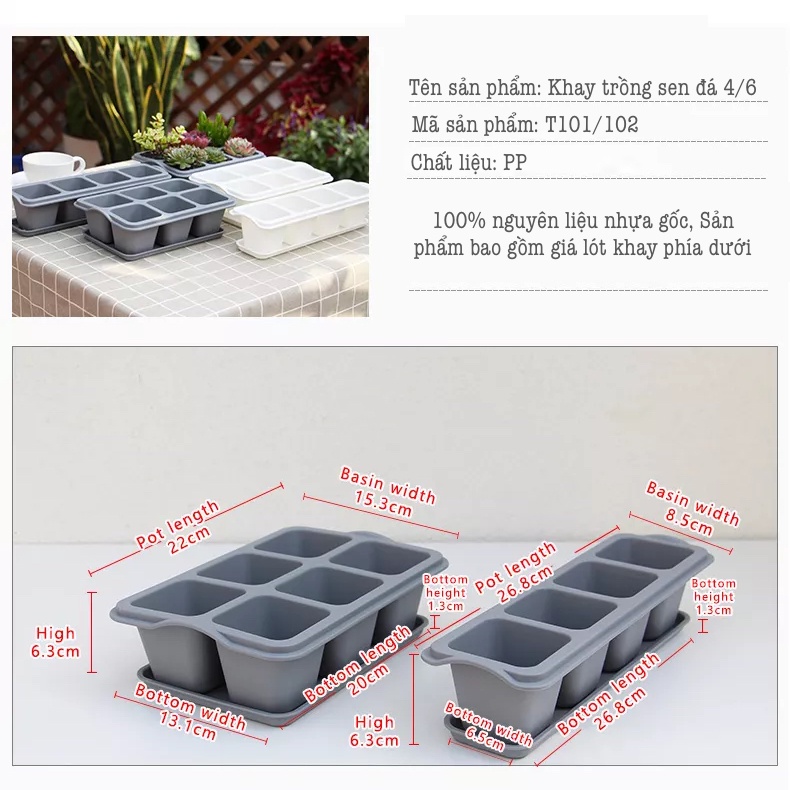 Chậu trồng cây mini Oliz T1 - Chậu cây để bàn có khay lót đáy chậu cây