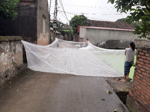 Tráng nuôi ếch ,ốc