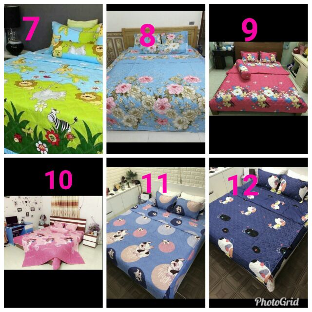 Bộ chăn ga hè 5 món cotton poly