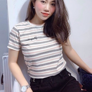 Áo cộc tay nữ kẻ ngang, chất thun gân sang sịn