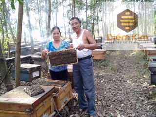 Combo 2 Hũ Sữa Ong Chúa Tươi Tặng Cọ Đắp Mặt