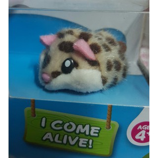 Đồ chơi mô hình chuột hamster in a house 5101