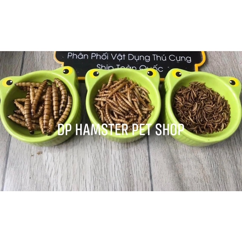 Sâu Sấy Supper Worm Thơm Bơ