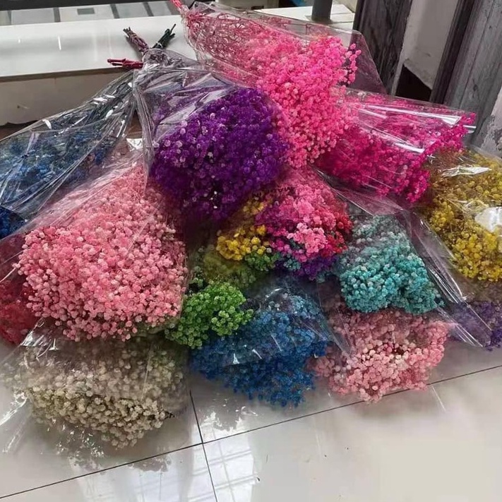 Hoa Bi Khô decor,  Hoa Baby Khô Bó To Trang Trí, Làm Quà Tặng