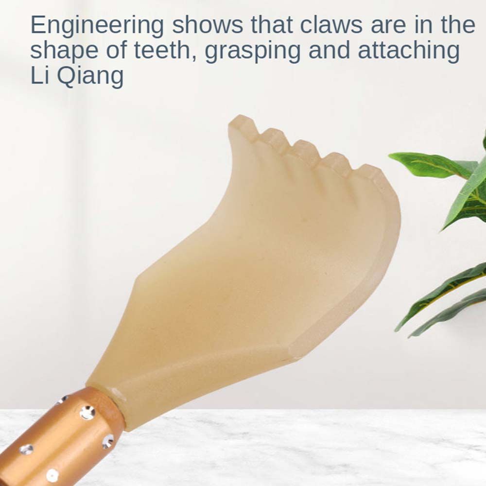 Cây gãi lưng mát xa BORAGE có thể kéo dài nhiều màu tùy chọn