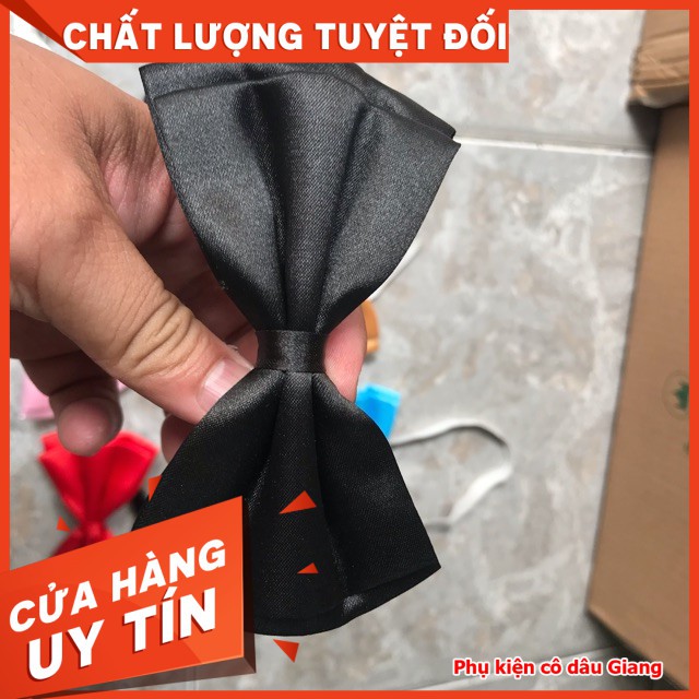 <TP>Nơ bê lễ - nơ bê tráp