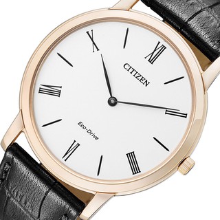 Đồng hồ kim nam Citizen AR1113-12B