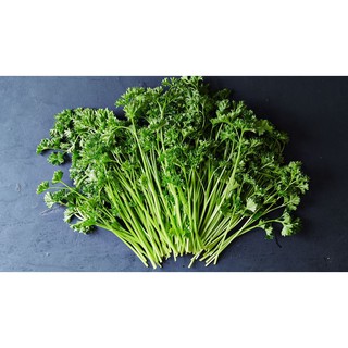 Lá Mùi Tây - Parsley