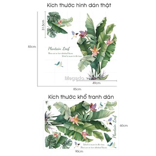 Decal dán tường cây chuối rừng A288