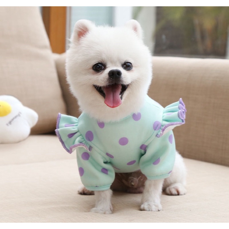 Váy xanh chấm bi có gấu sau lưng
