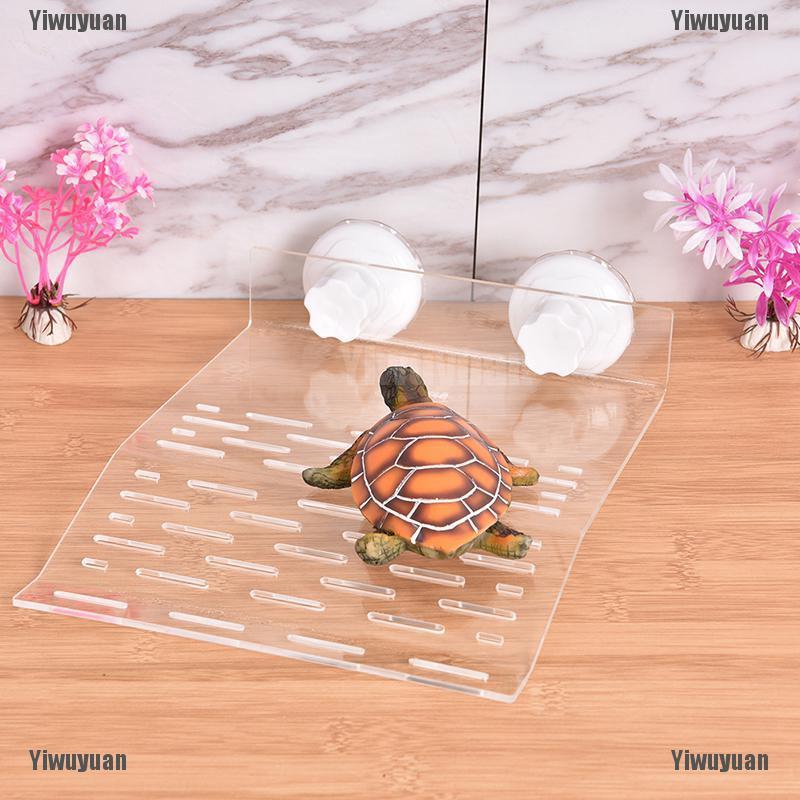 Bộ Khay Nhựa Đựng Thức Ăn Tiện Dụng