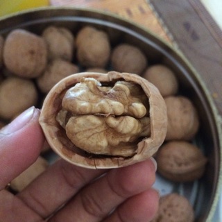 Sỉ 3,5kg óc chó rừng Sapa❤️ tặng 01 kìm tách vỏ