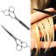 Professional Barber Salon Hair Cutting Thinning Scissors Shears Hairdressing