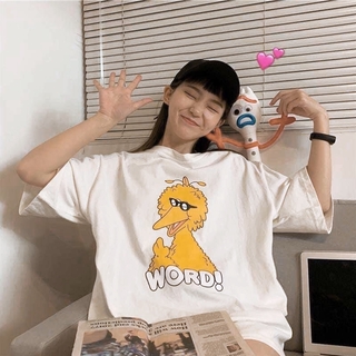 Áo thun nữ tay lỡ freesize phông form rộng dáng Unisex, mặc lớp, nhóm, cặp in hình ss chim BIG BIRD chữ WORD