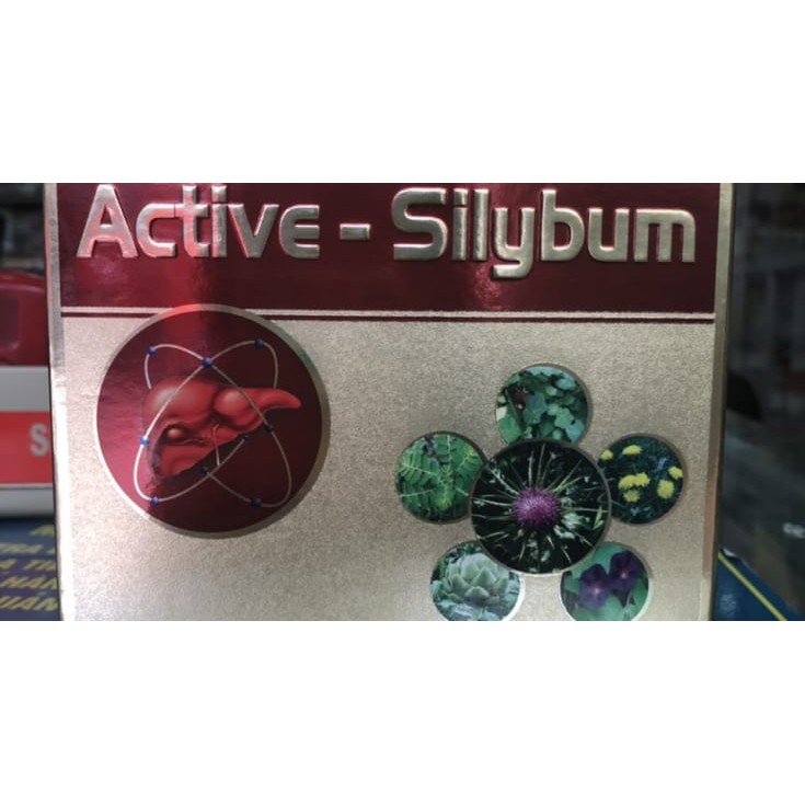 Active Silybum – Tăng cường giải độc, mát gan, phục hồi chức năng gan