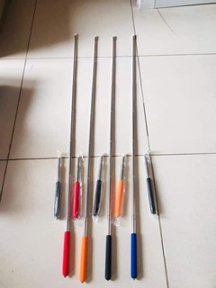Cây chỉ bảng