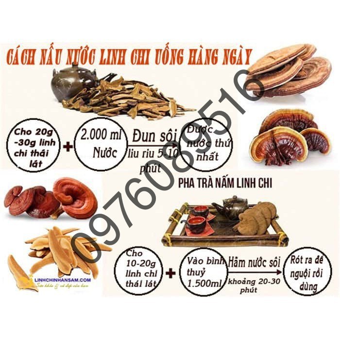 [DATE MỚI] Nấm Linh Chi Trắng Hàn Quốc Hộp Giấy UHak